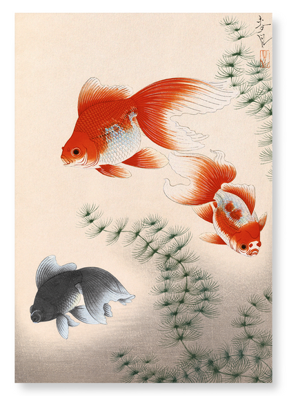 GOLDFISH: Japanese Art Print