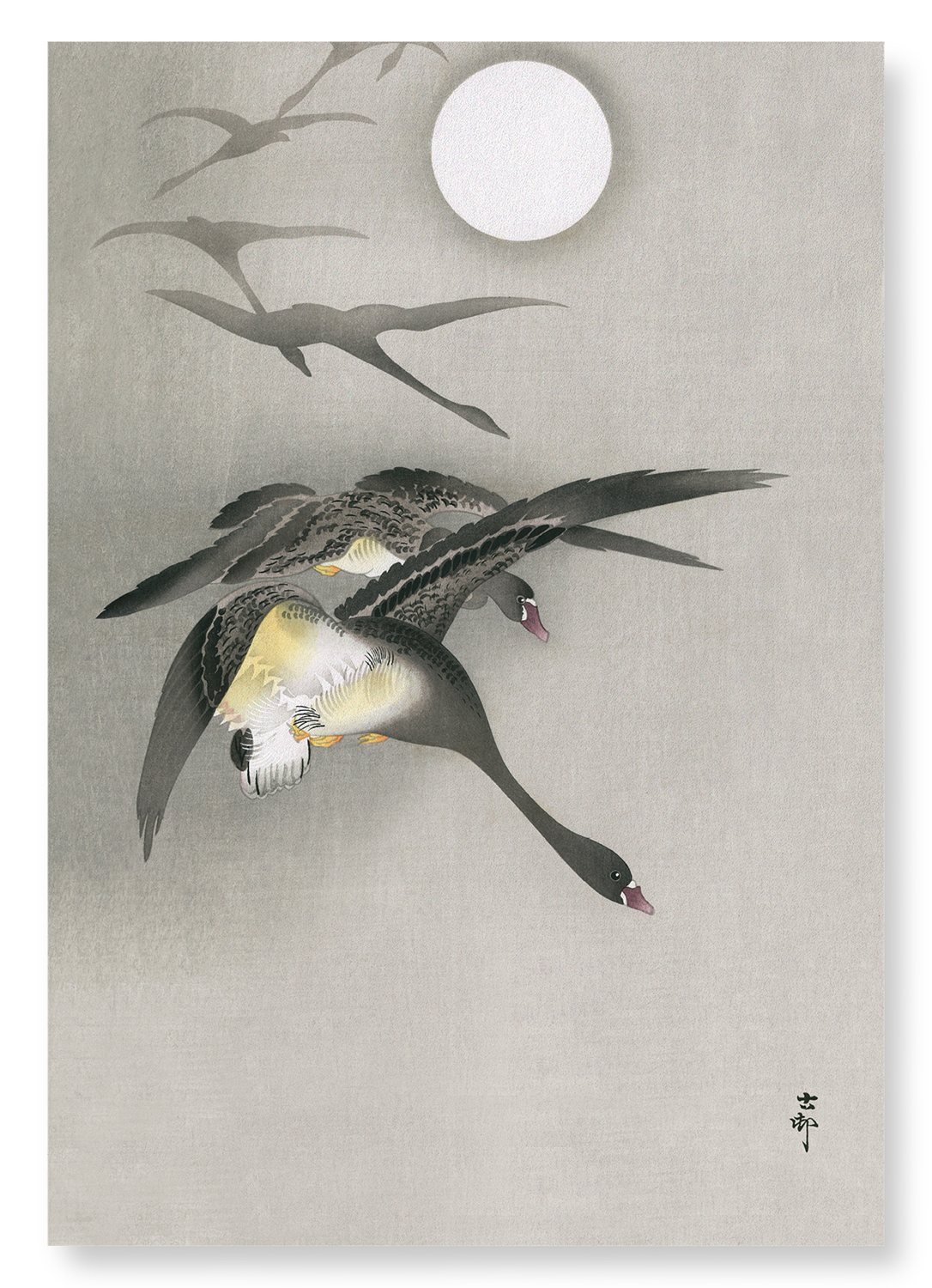 WHITE-FRONTED GEESE IN FLIGHT: Japanese Art Print