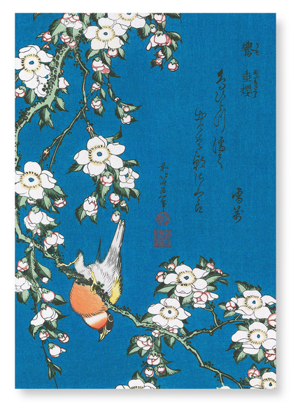 BULLFINCH AND DROOPING CHERRY: Japanese Art Print