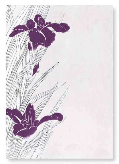 PURPLE IRIS DESIGN: Japanese Art Print