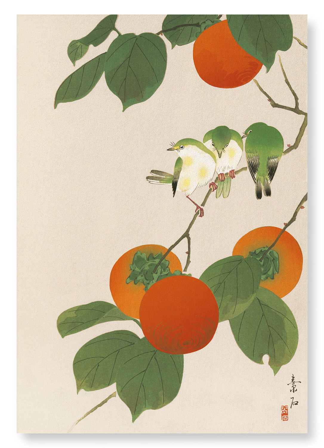WHITE-EYE BIRDS AND PERSIMMON FRUITS: Japanese Art Print
