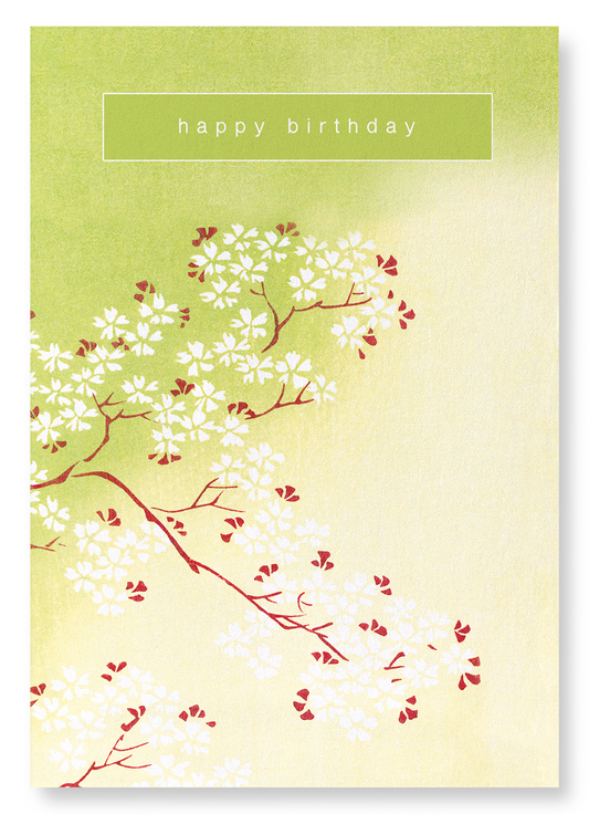 BIRTHDAY CHERRY BLOSSOMS: Japanese Art Print