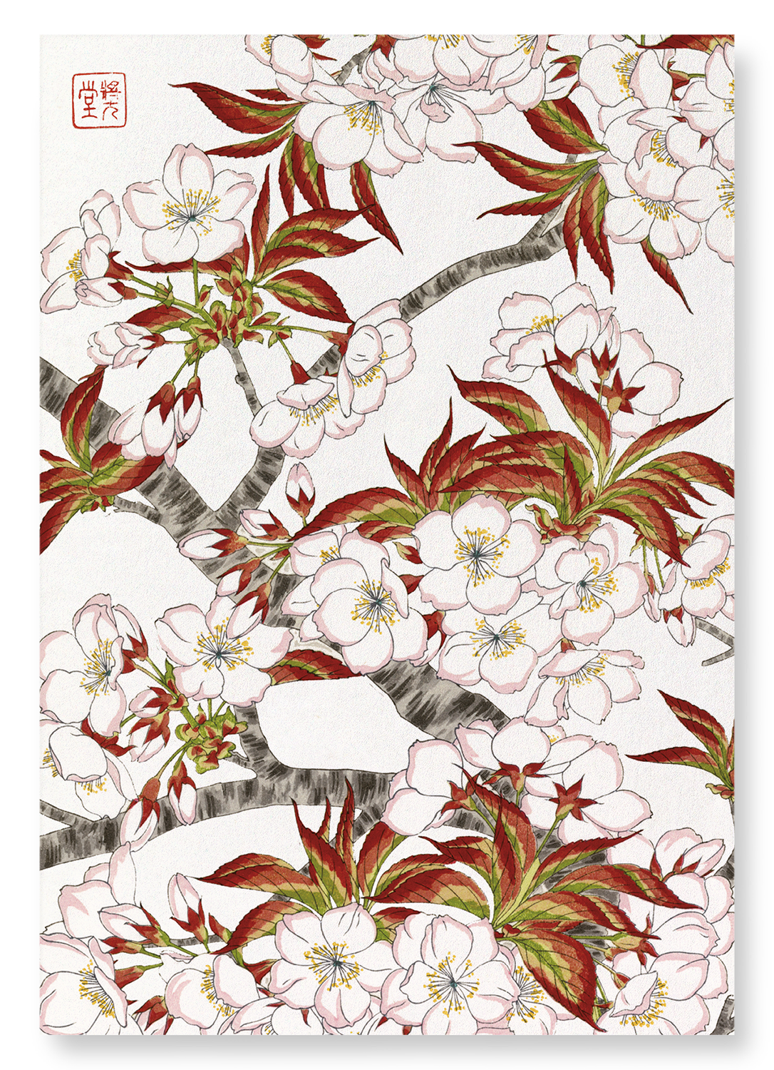 CHERRY BLOSSOM FLOWERS: Japanese Art Print