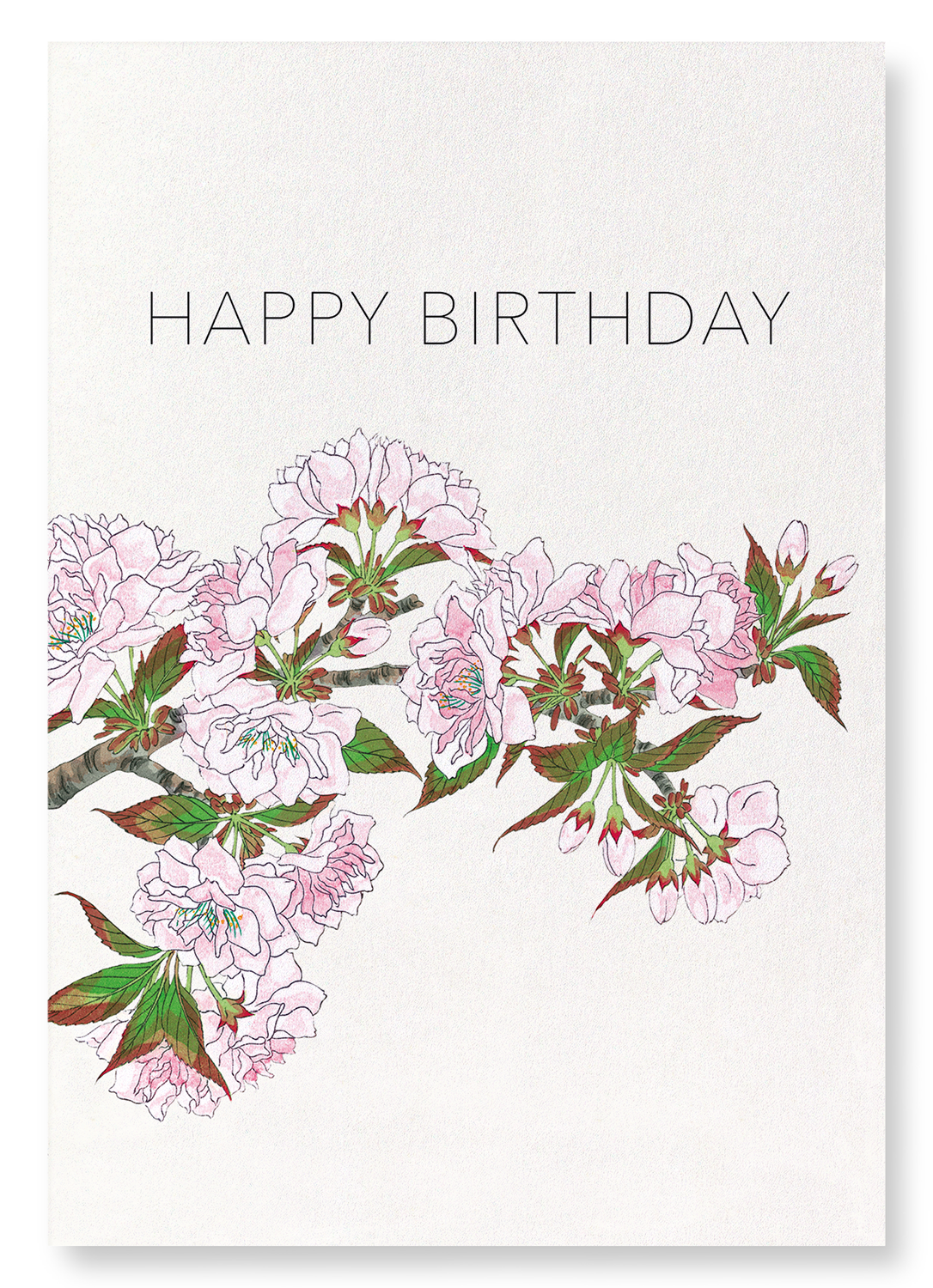 HAPPY BIRTHDAY CHERRY BLOSSOMS: Japanese Art Print