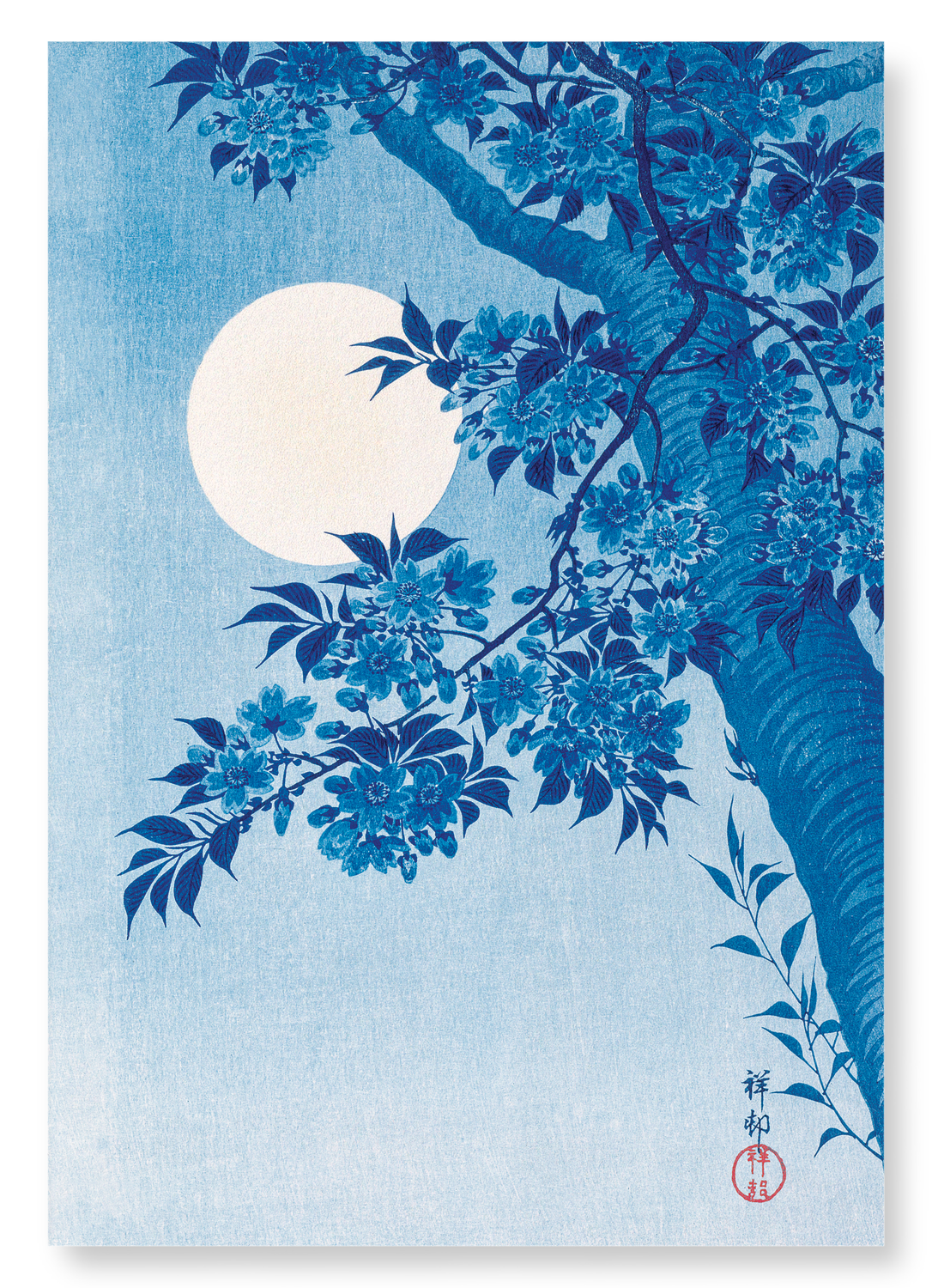 CHERRY BLOSSOMS IN THE MOON (C.1910): Japanese Art Print
