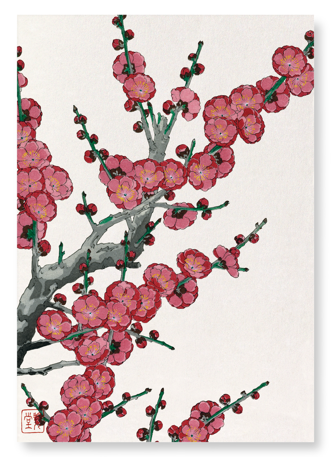 RED PLUM BLOSSOM (1953): Japanese Art Print