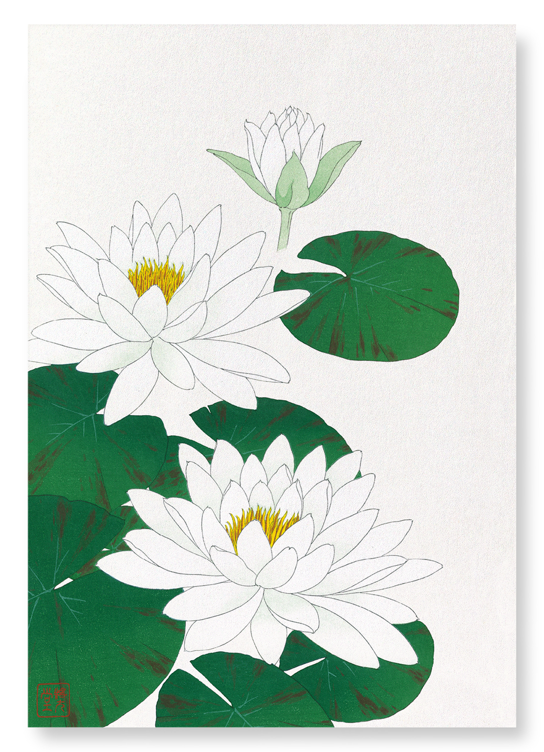 WHITE WATERLILY: Japanese Art Print