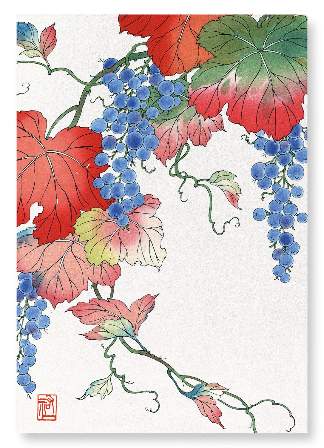 GRAPES: Japanese Art Print