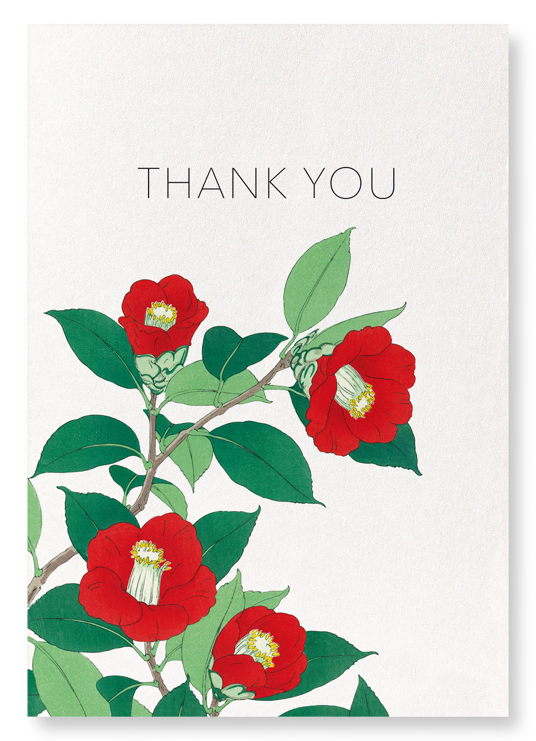THANK YOU CAMELLIA: Japanese Art Print