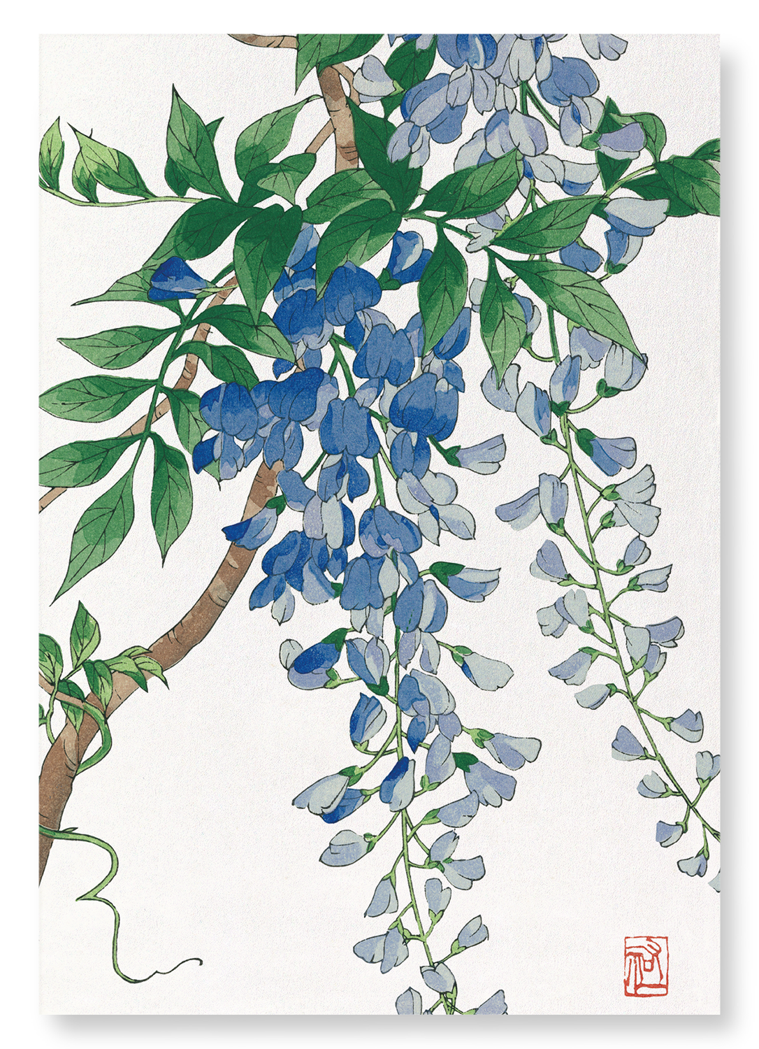 BLUE WISTERIA: Japanese Art Print