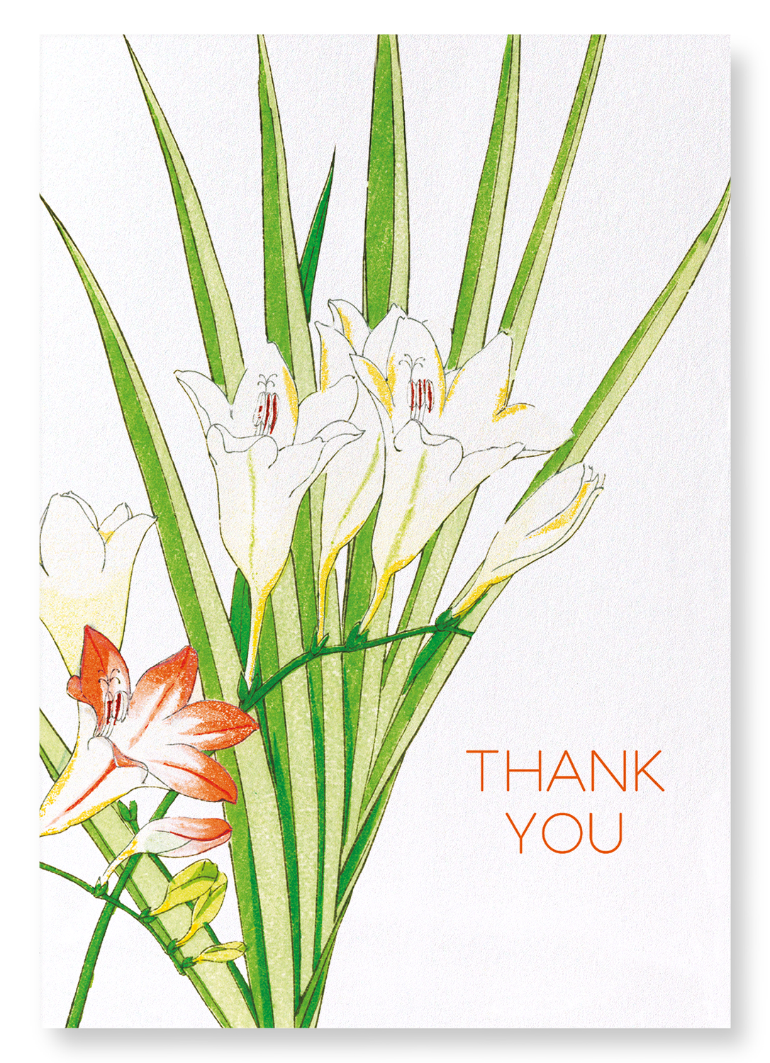 THANK YOU (FREESIA FLOWER): Japanese Art Print