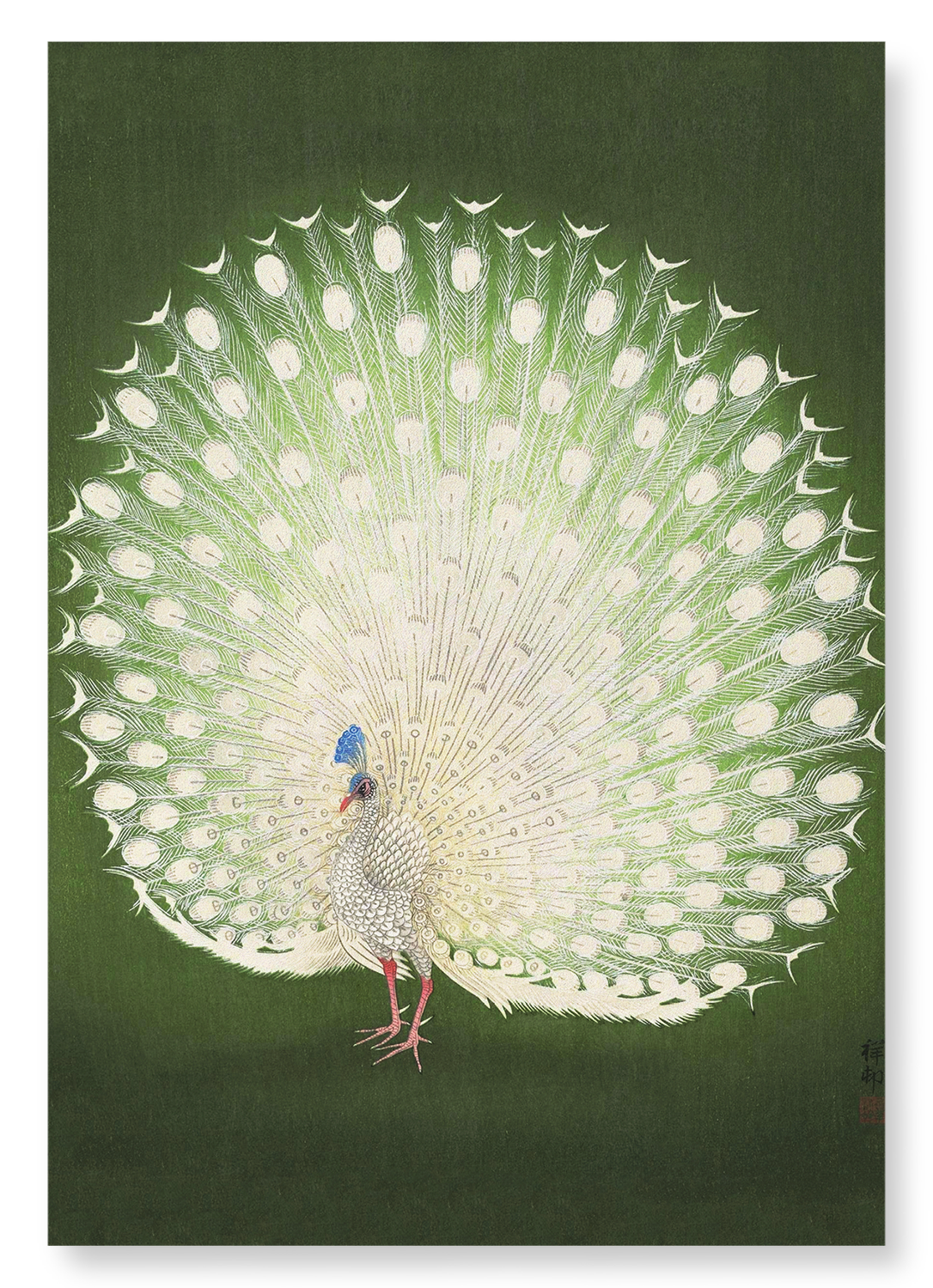 WHITE PEACOCK: Japanese Art Print
