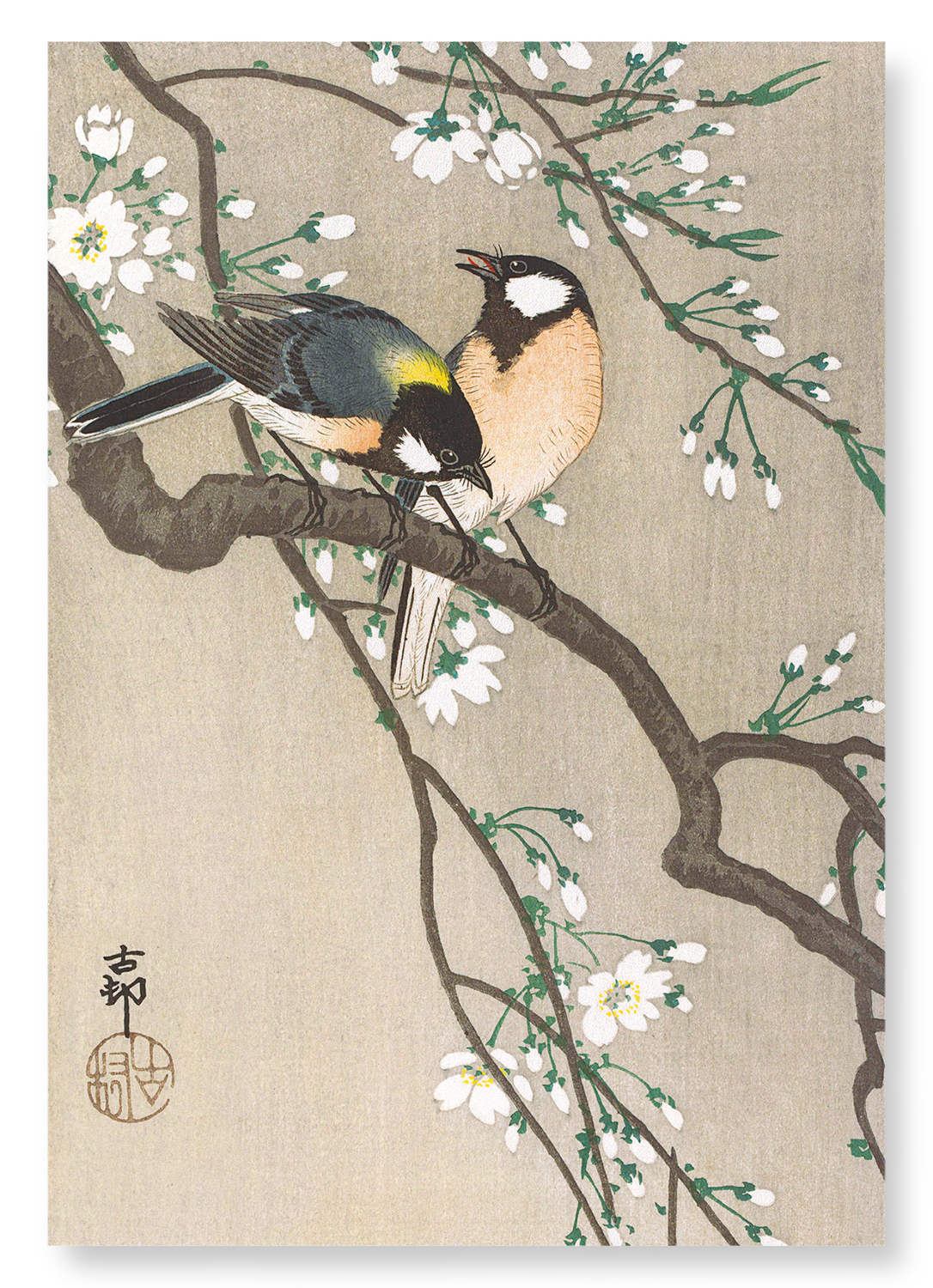 TIT BIRDS ON CHERRY BRANCH: Japanese Art Print