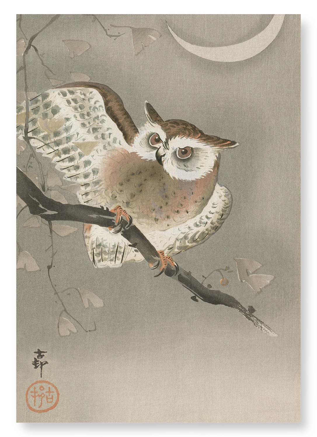 LONG-EARED OWL: Japanese Art Print