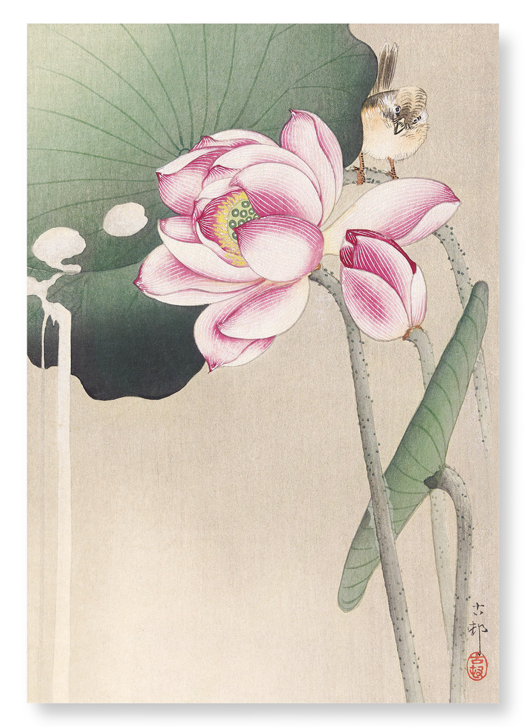SONGBIRD AND LOTUS: Japanese Art Print