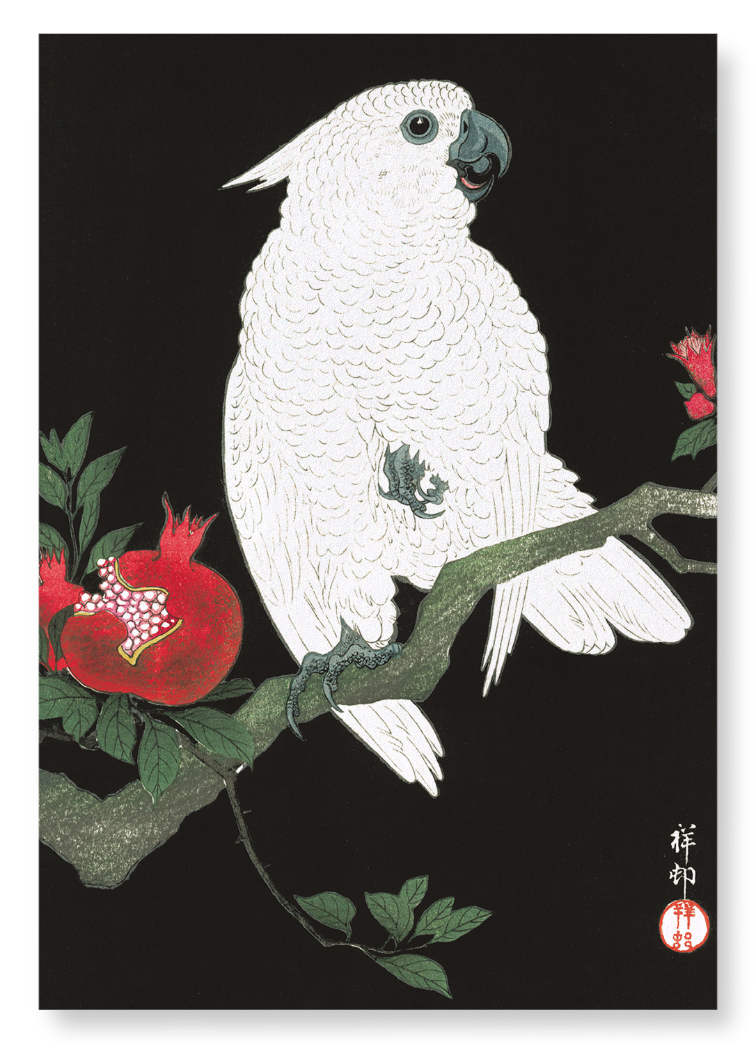 COCKATOO AND POMEGRANATE: Japanese Art Print