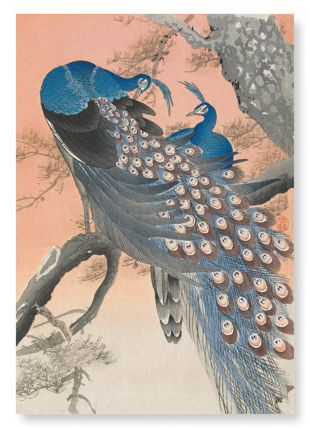 COUPLE OF PEACOCKS (C.1910): Japanese Art Print
