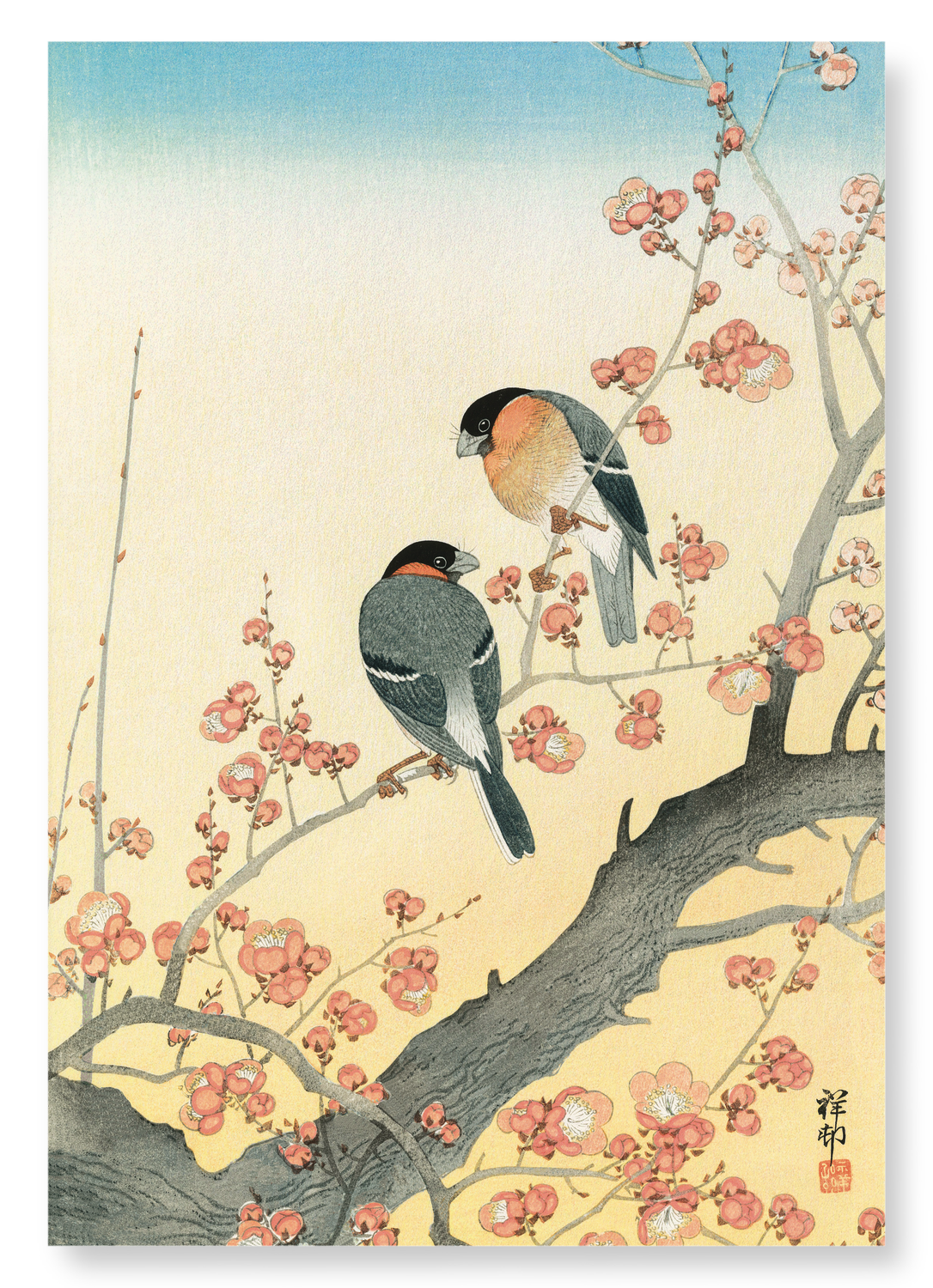 BULLFINCHES AND PLUM BLOSSOMS (C.1900): Japanese Art Print