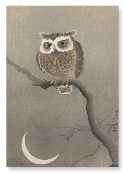 LONG-EARED OWL ON TREE BRANCH: Japanese Art Print