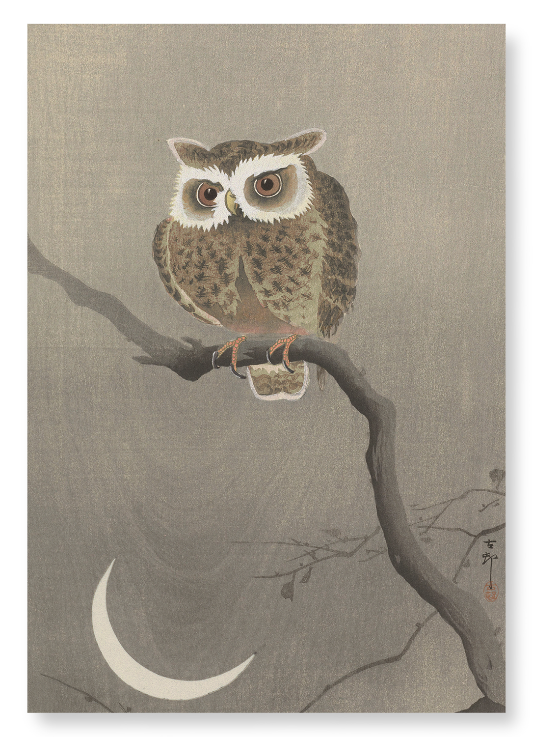 LONG-EARED OWL ON TREE BRANCH: Japanese Art Print
