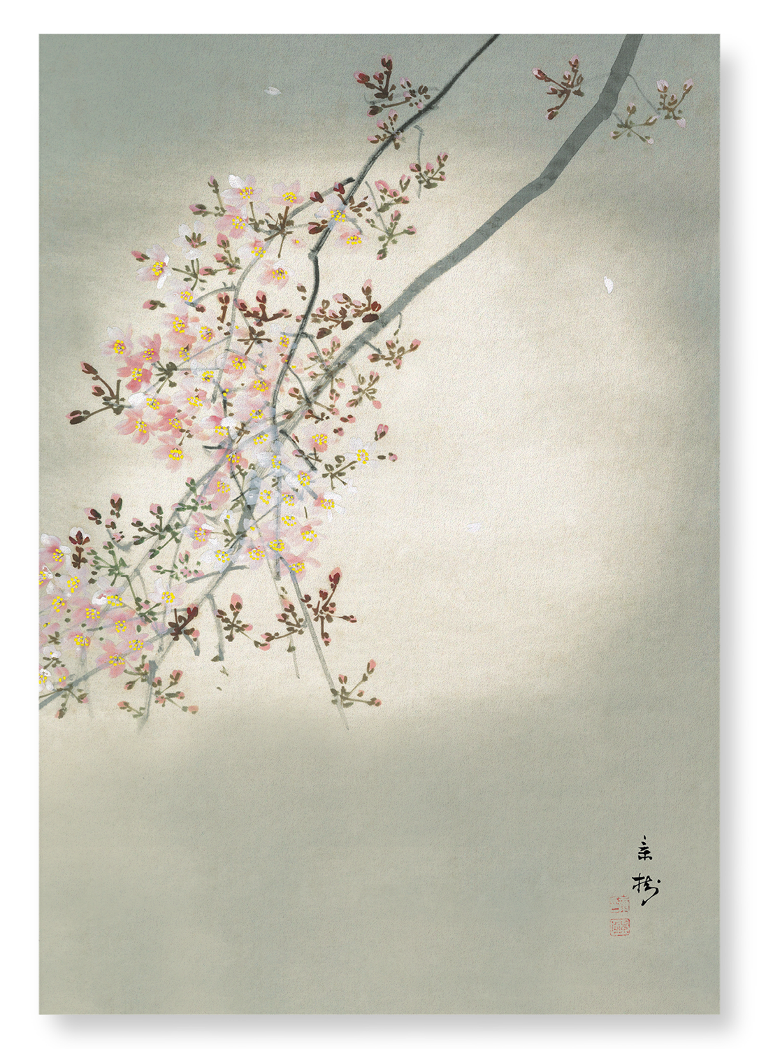 CHERRY BLOSSOM IN THE FULL MOON: Japanese Art Print