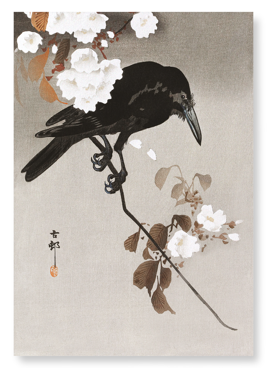 CROW WITH CHERRY BLOSSOM: Japanese Art Print