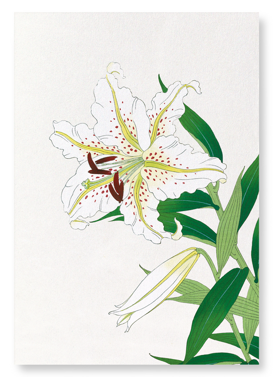 LILY: Japanese Art Print