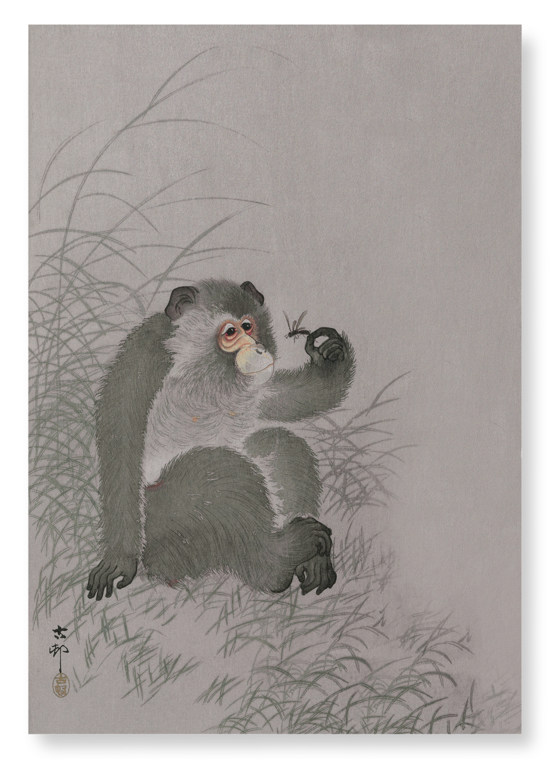 MONKEY WITH INSECT (TEST): Japanese Art Print