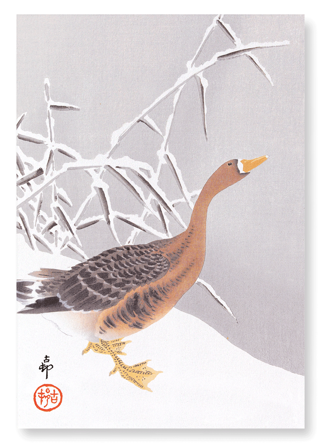 WHITE FRONTED GOOSE IN THE SNOW: Japanese Art Print