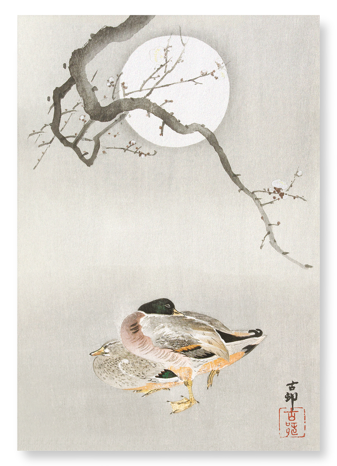DUCKS AND BLOSSOM IN FULL MOON: Japanese Art Print