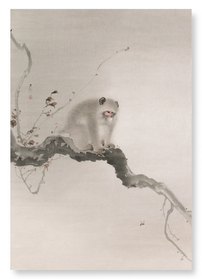 MONKEY ON TREE: Japanese Art Print