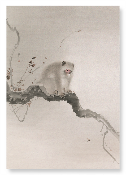 MONKEY ON TREE: Japanese Art Print