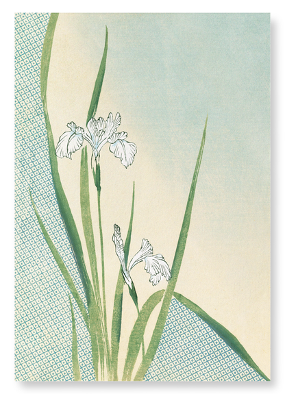 KIMONO HEM - IRISES (1899): Japanese Art Print