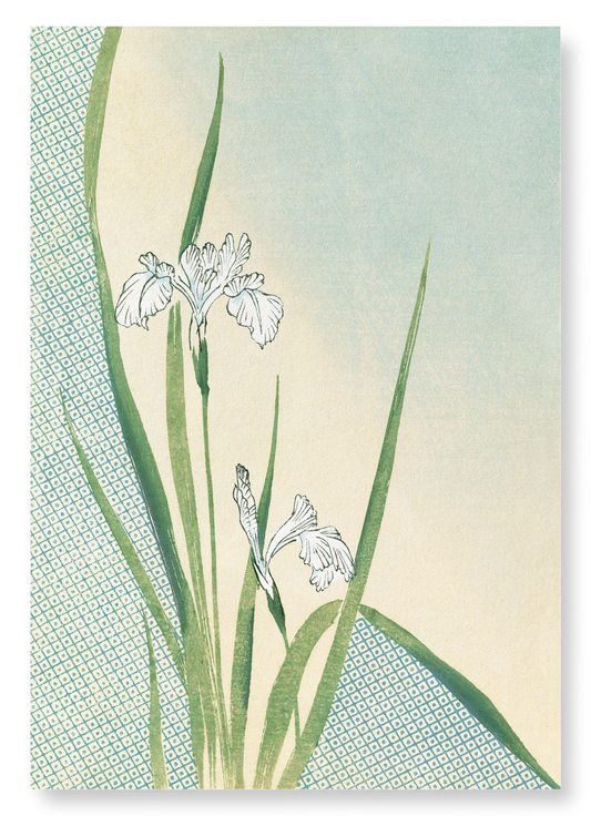 KIMONO HEM - IRISES (1899): Japanese Art Print