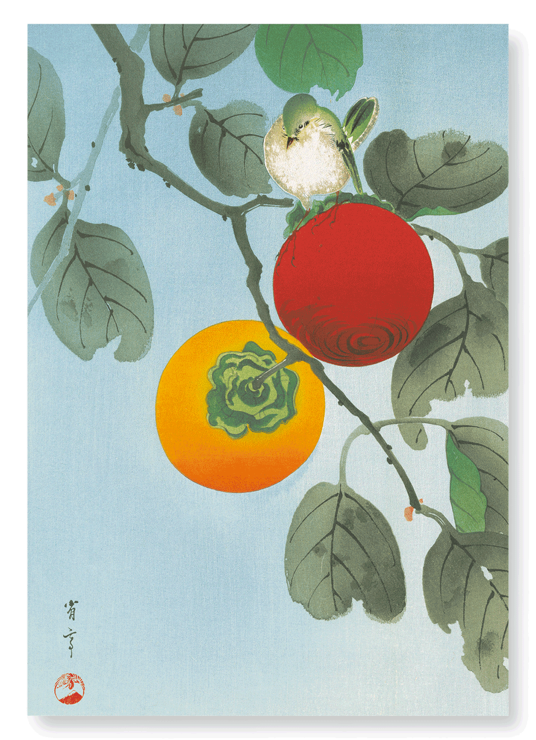 WHITE-EYE ON PERSIMMON TREE (C.1930): Japanese Art Print