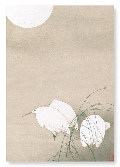 THREE EGRETS AT NIGHT (C.1900): Japanese Art Print