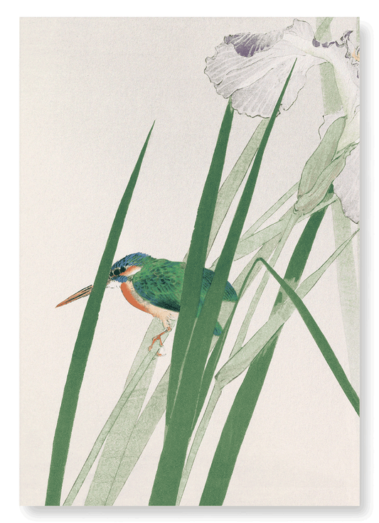 KINGFISHER AND IRIS (C.1900): Japanese Art Print