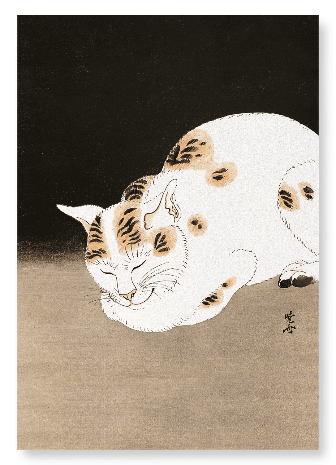 SLEEPING CAT (C.1880): Japanese Art Print