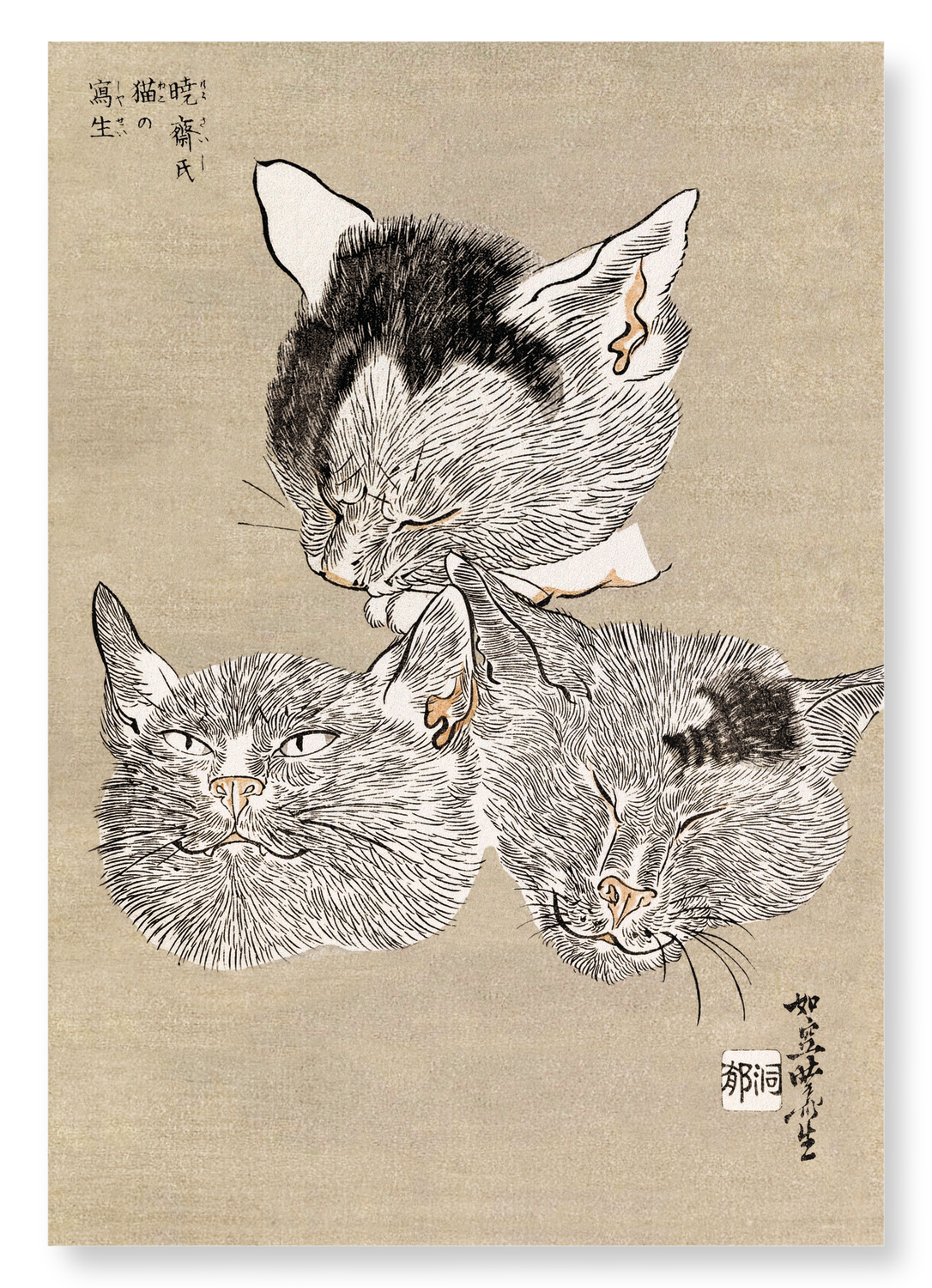 THREE CAT HEADS (C.1880): Japanese Art Print