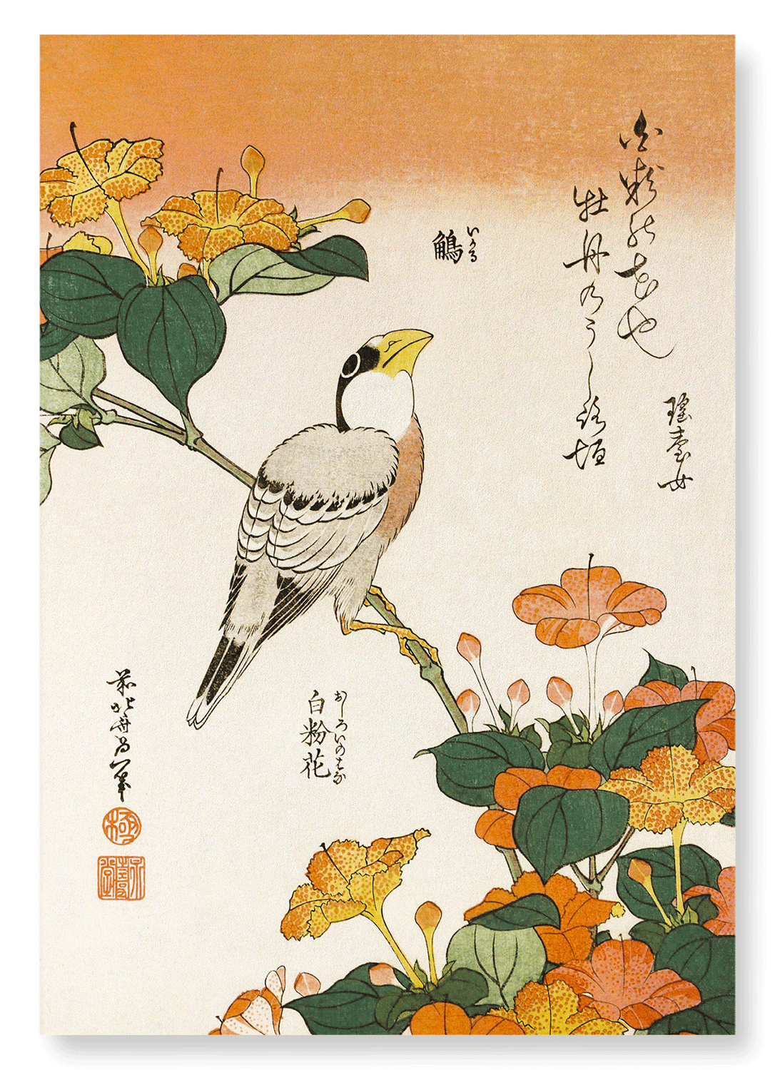 JAPANESE GROSBEAK WITH MARVEL-OF-PERU FLOWERS (C.1834): Japanese Art Print