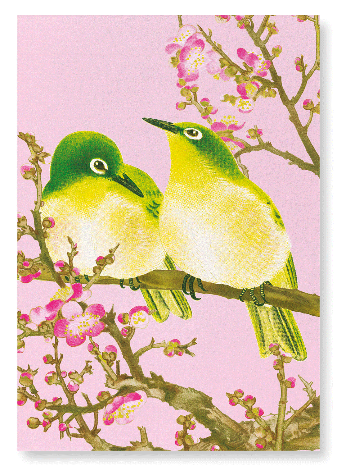 WARBLING WHITE-EYE WITH PLUM BLOSSOMS (C.1930): Japanese Art Print