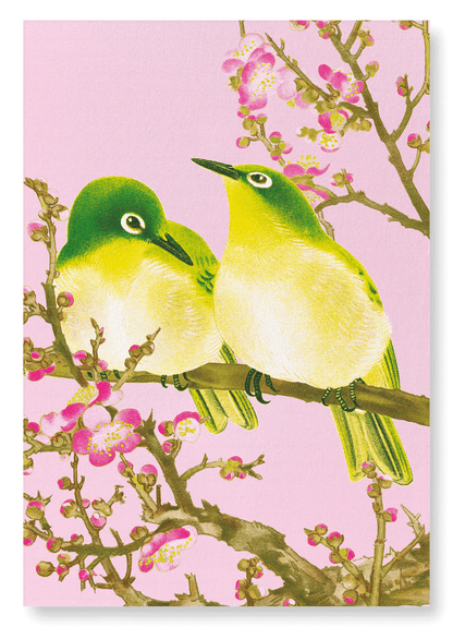 WARBLING WHITE-EYE WITH PLUM BLOSSOMS (C.1930): Japanese Art Print