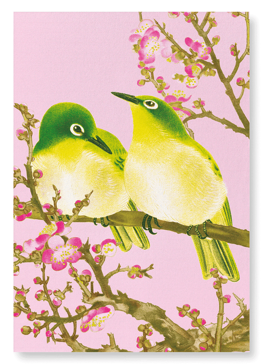 WARBLING WHITE-EYE WITH PLUM BLOSSOMS (C.1930): Japanese Art Print