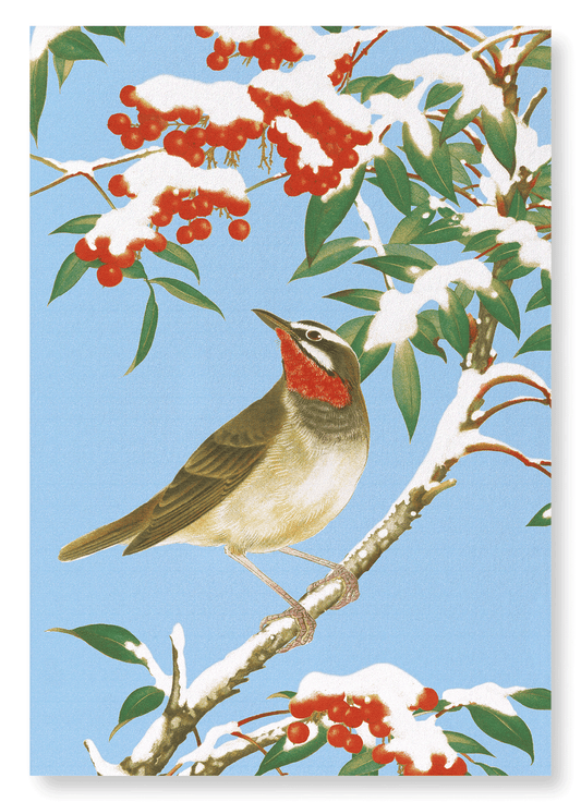 CALLIOPE BIRD WITH NANDINA (C.1930): Japanese Art Print