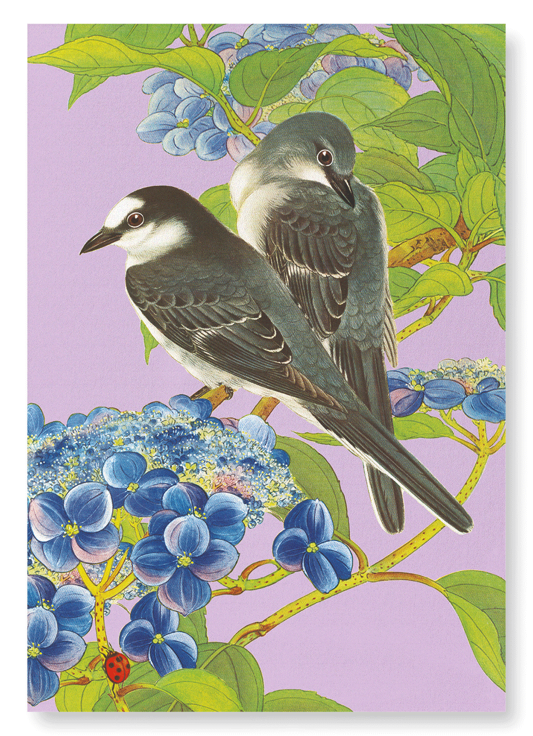 ASHY MINIVET BIRDS WITH HYDRANGEA (C.1930): Japanese Art Print