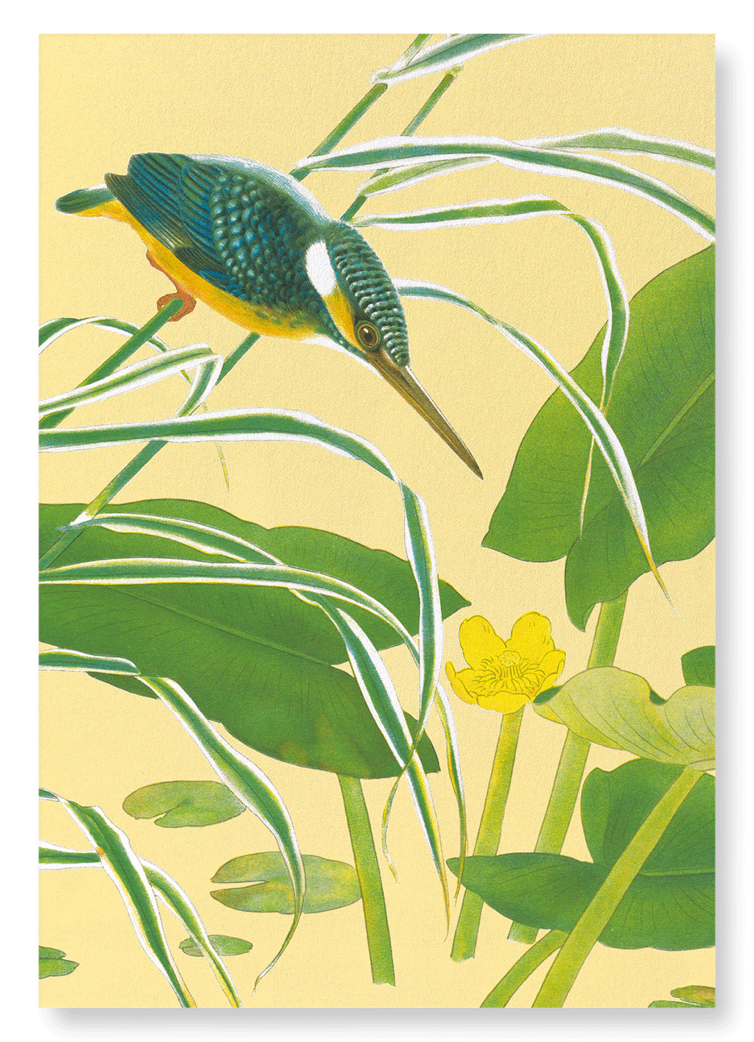 KINGFISHER WITH EAST ASIAN YELLOW WATER-LILY (C.1930): Japanese Art Print