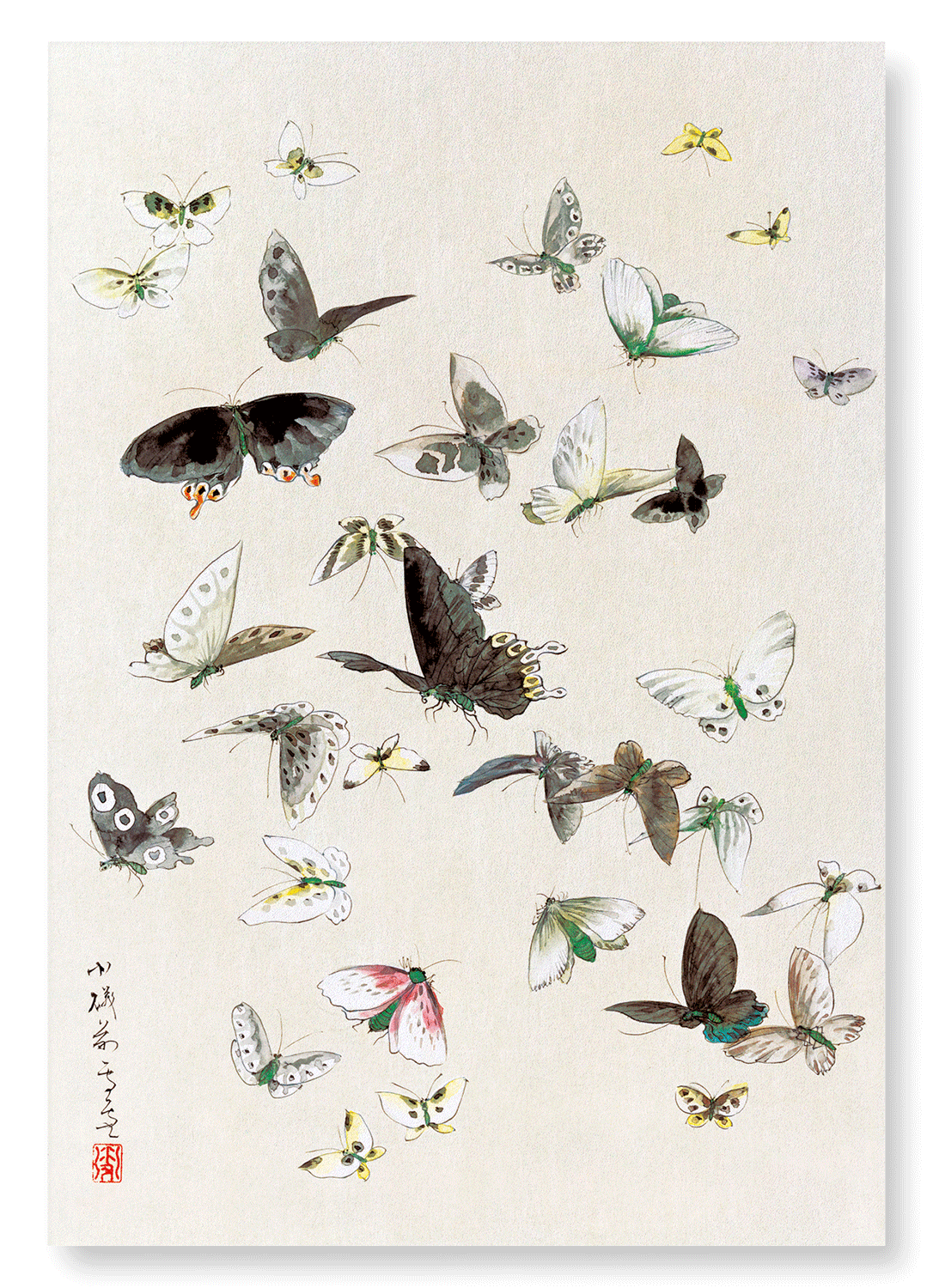 BUTTERLFLIES AND MOTHS (1830-1850): Japanese Art Print