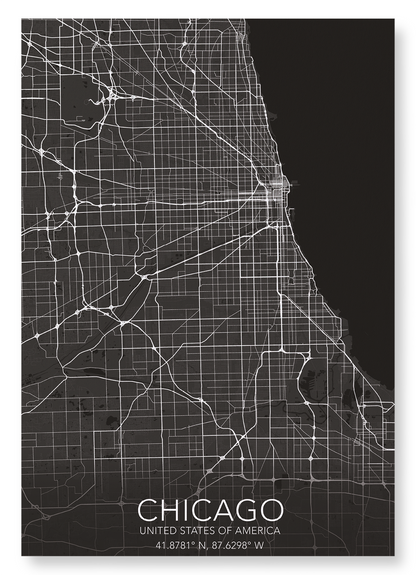 CHICAGO FULL MAP: Map Full Art Print