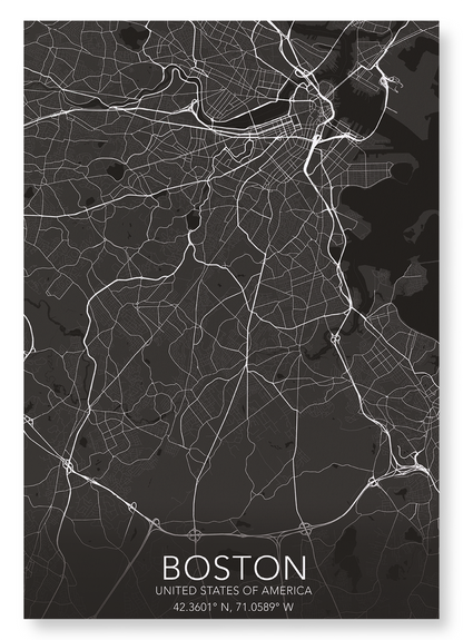BOSTON FULL MAP: Map Full Art Print