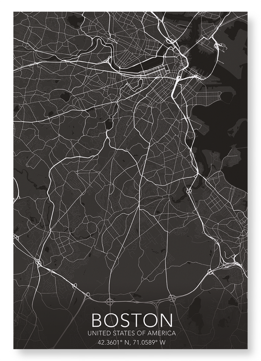 BOSTON FULL MAP: Map Full Art Print